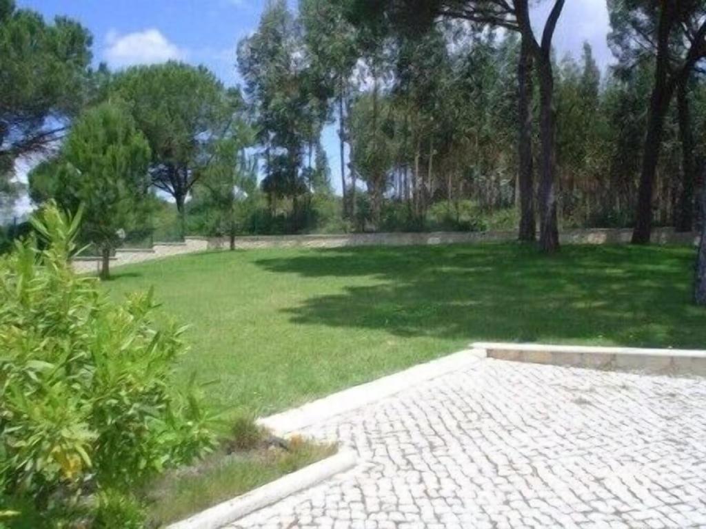 Villa Quinta Do Alto Dos Pinheiros São João da Ribeira Exterior foto